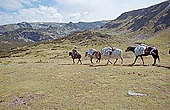 Rila Mountains 